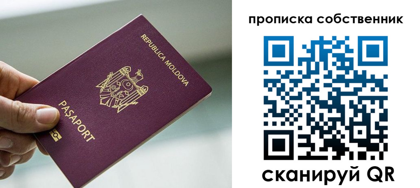 прописка паспорт в Дальнегорске